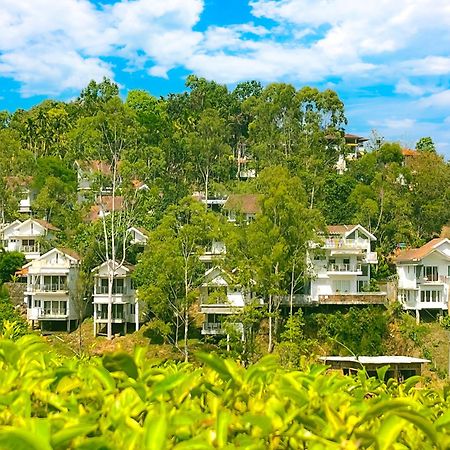 Dazzle Villa Resort Kalpetta Bagian luar foto